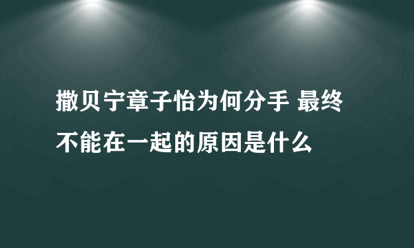 撒贝宁章子怡为何分手 最终不能在一起的原因是什么