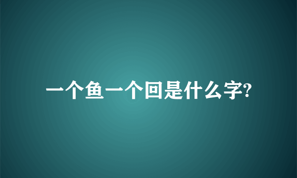 一个鱼一个回是什么字?