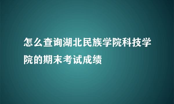 怎么查询湖北民族学院科技学院的期末考试成绩