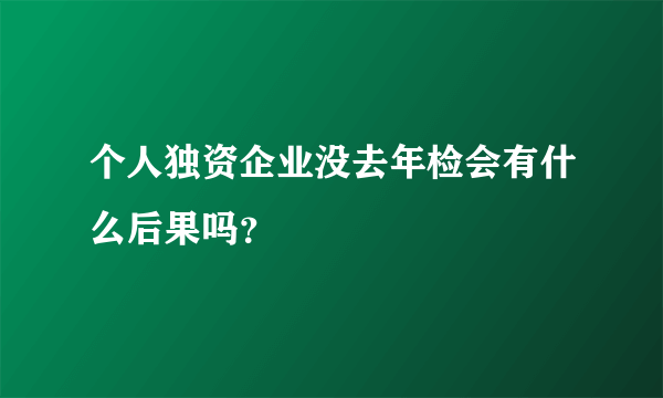 个人独资企业没去年检会有什么后果吗？