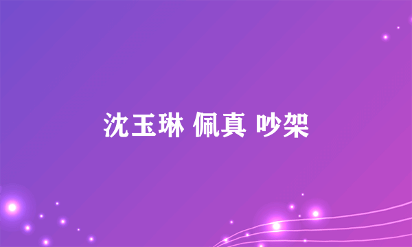 沈玉琳 佩真 吵架