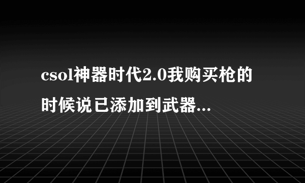 csol神器时代2.0我购买枪的时候说已添加到武器仓库，可没有啊。还有怎么调模式。