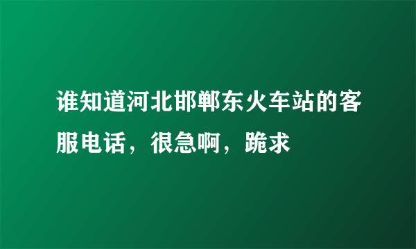 谁知道河北邯郸东火车站的客服电话，很急啊，跪求