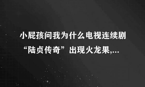 小屁孩问我为什么电视连续剧“陆贞传奇”出现火龙果,怎么解释清楚?