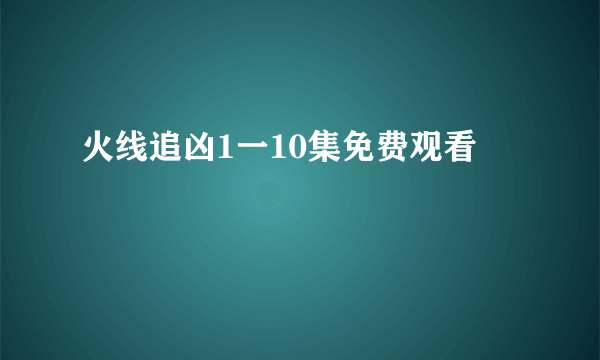 火线追凶1一10集免费观看