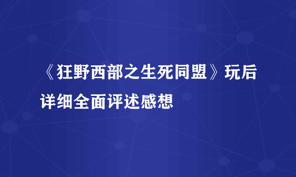 《狂野西部之生死同盟》玩后详细全面评述感想