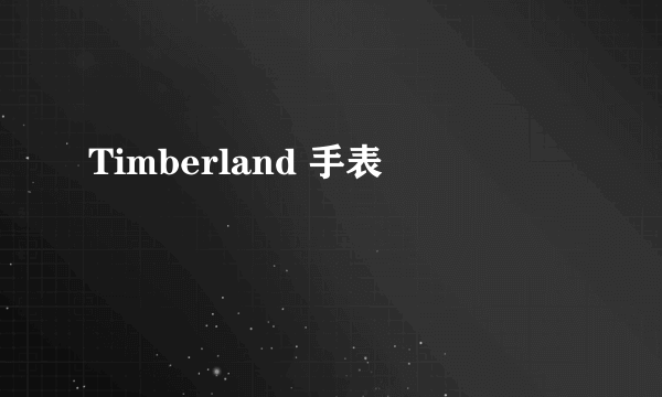 Timberland 手表