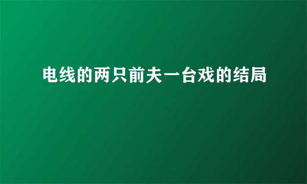 电线的两只前夫一台戏的结局