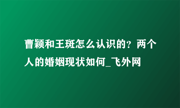 曹颖和王斑怎么认识的？两个人的婚姻现状如何_飞外网