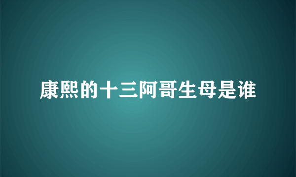 康熙的十三阿哥生母是谁