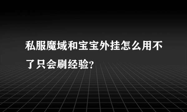 私服魔域和宝宝外挂怎么用不了只会刷经验？