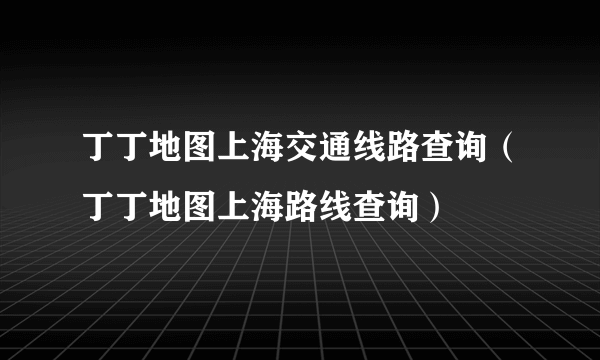 丁丁地图上海交通线路查询（丁丁地图上海路线查询）