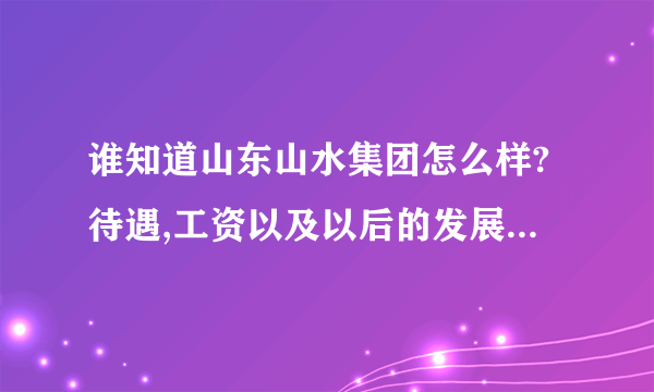 谁知道山东山水集团怎么样?待遇,工资以及以后的发展?我女朋友是学化工的，我是地