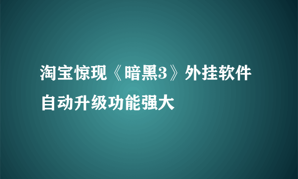 淘宝惊现《暗黑3》外挂软件 自动升级功能强大