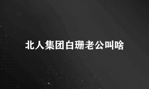 北人集团白珊老公叫啥