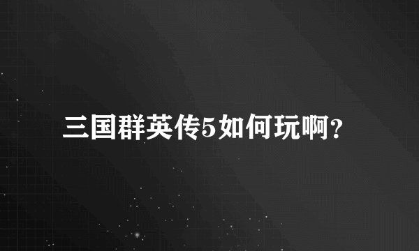 三国群英传5如何玩啊？