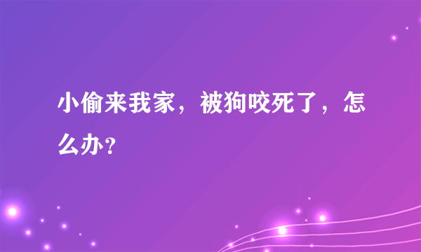 小偷来我家，被狗咬死了，怎么办？