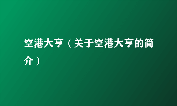 空港大亨（关于空港大亨的简介）