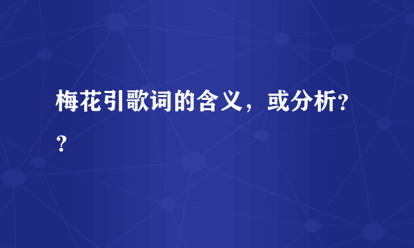 梅花引歌词的含义，或分析？？