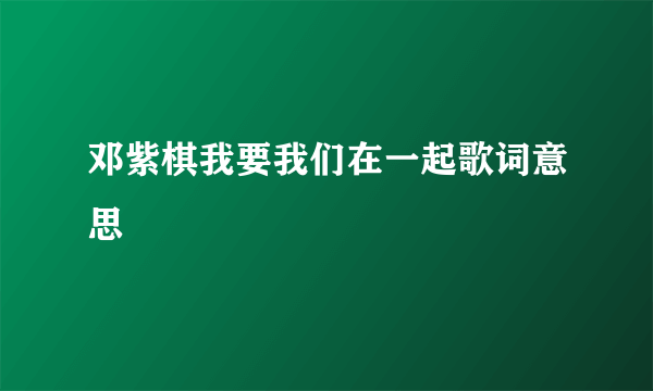 邓紫棋我要我们在一起歌词意思