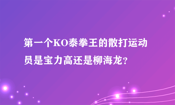 第一个KO泰拳王的散打运动员是宝力高还是柳海龙？