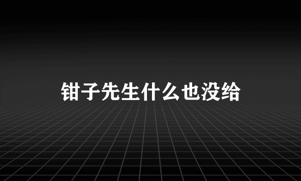 钳子先生什么也没给