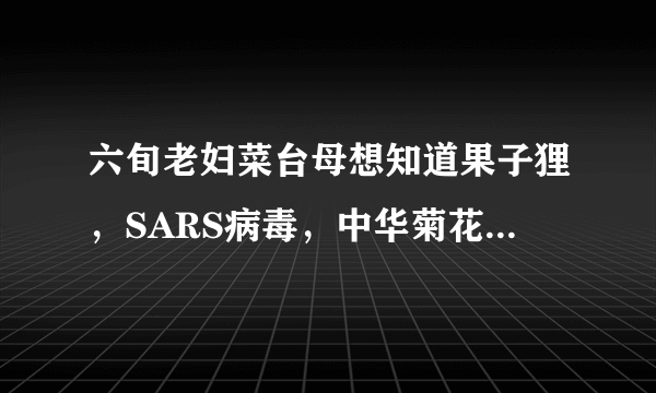 六旬老妇菜台母想知道果子狸，SARS病毒，中华菊花蝠，是什么混乱关系？年轻人，帮帮忙，好人一生平安。。