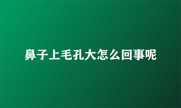 鼻子上毛孔大怎么回事呢