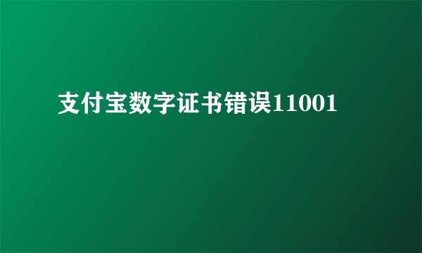 支付宝数字证书错误11001