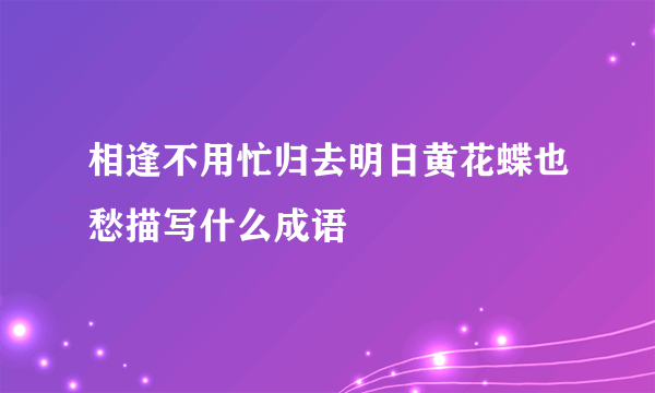 相逢不用忙归去明日黄花蝶也愁描写什么成语