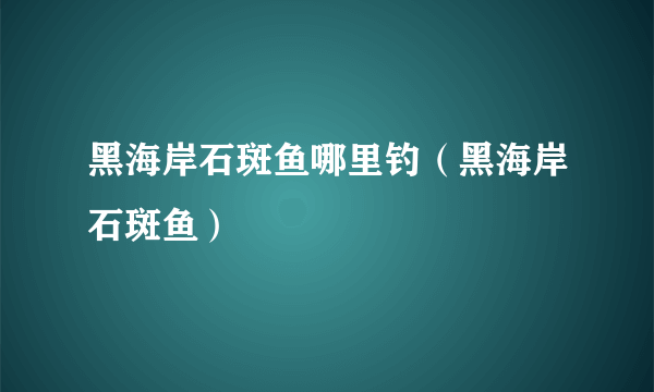 黑海岸石斑鱼哪里钓（黑海岸石斑鱼）