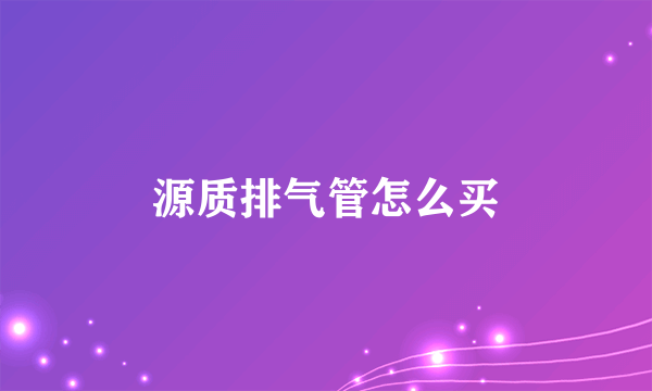 源质排气管怎么买