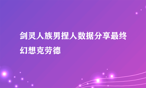 剑灵人族男捏人数据分享最终幻想克劳德