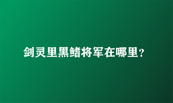 剑灵里黑鳍将军在哪里？