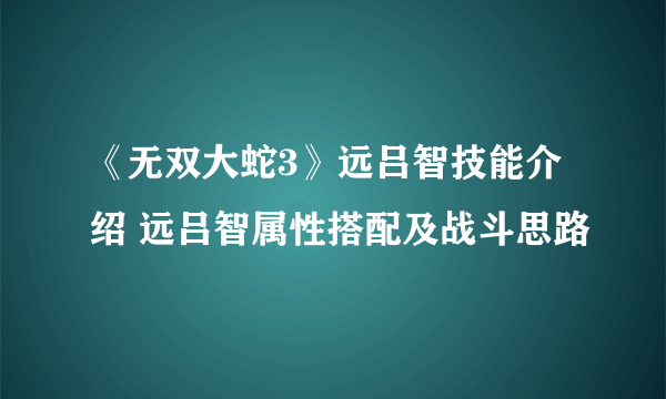 《无双大蛇3》远吕智技能介绍 远吕智属性搭配及战斗思路