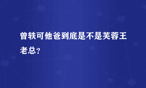 曾轶可他爸到底是不是芙蓉王老总？