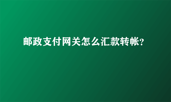 邮政支付网关怎么汇款转帐？