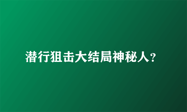 潜行狙击大结局神秘人？