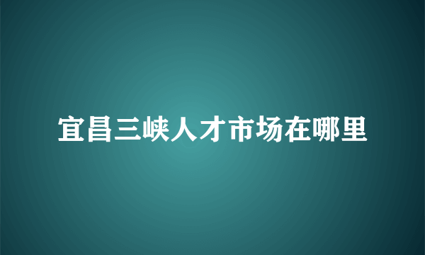 宜昌三峡人才市场在哪里