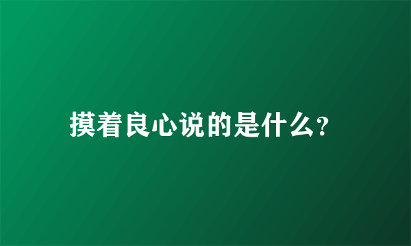 摸着良心说的是什么？