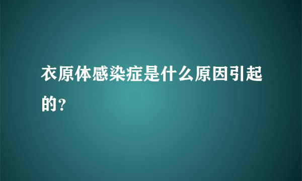 衣原体感染症是什么原因引起的？