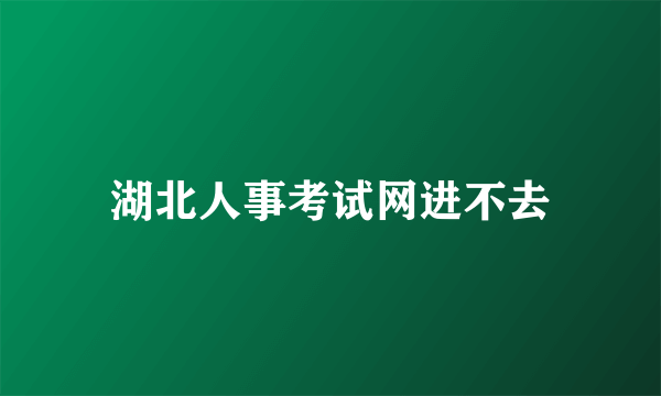 湖北人事考试网进不去