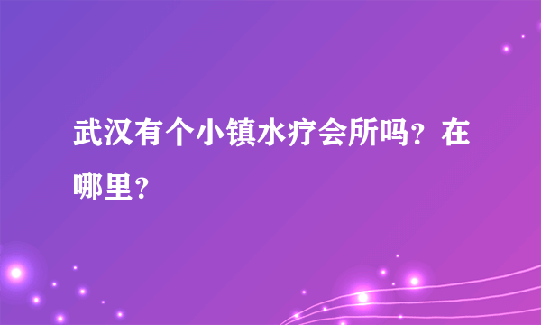 武汉有个小镇水疗会所吗？在哪里？