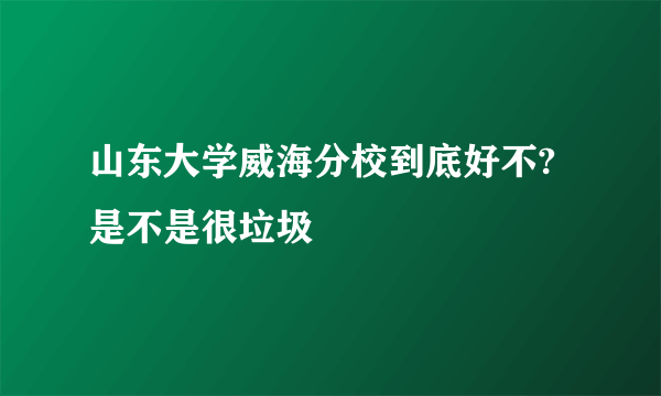 山东大学威海分校到底好不?是不是很垃圾