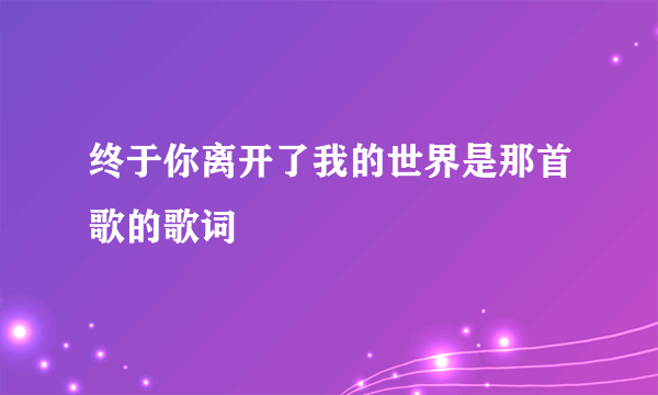 终于你离开了我的世界是那首歌的歌词