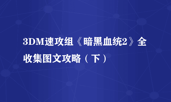 3DM速攻组《暗黑血统2》全收集图文攻略（下）