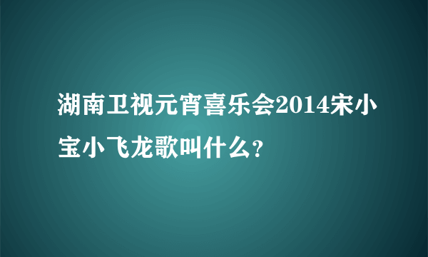 湖南卫视元宵喜乐会2014宋小宝小飞龙歌叫什么？