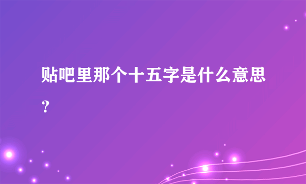 贴吧里那个十五字是什么意思？