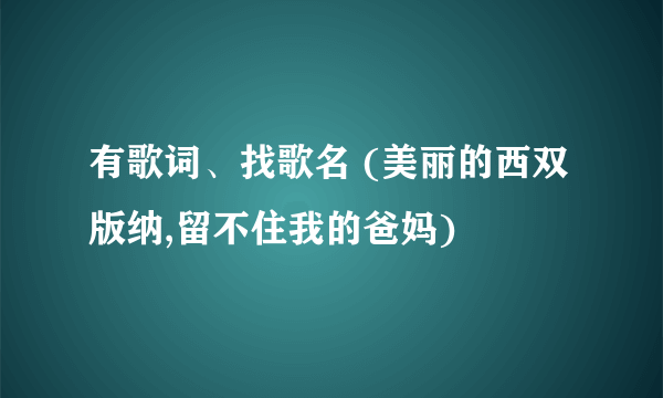 有歌词、找歌名 (美丽的西双版纳,留不住我的爸妈)