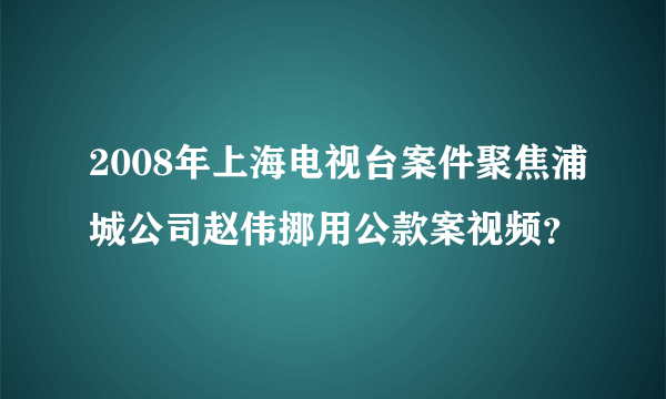 2008年上海电视台案件聚焦浦城公司赵伟挪用公款案视频？